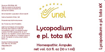 Lycopodium E Pl. Tota 8x Ampules (Lycopodium E Pl. Tota 8x Ampules)